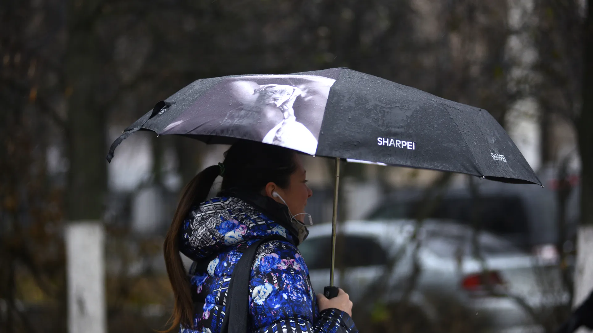 медиасток.рф