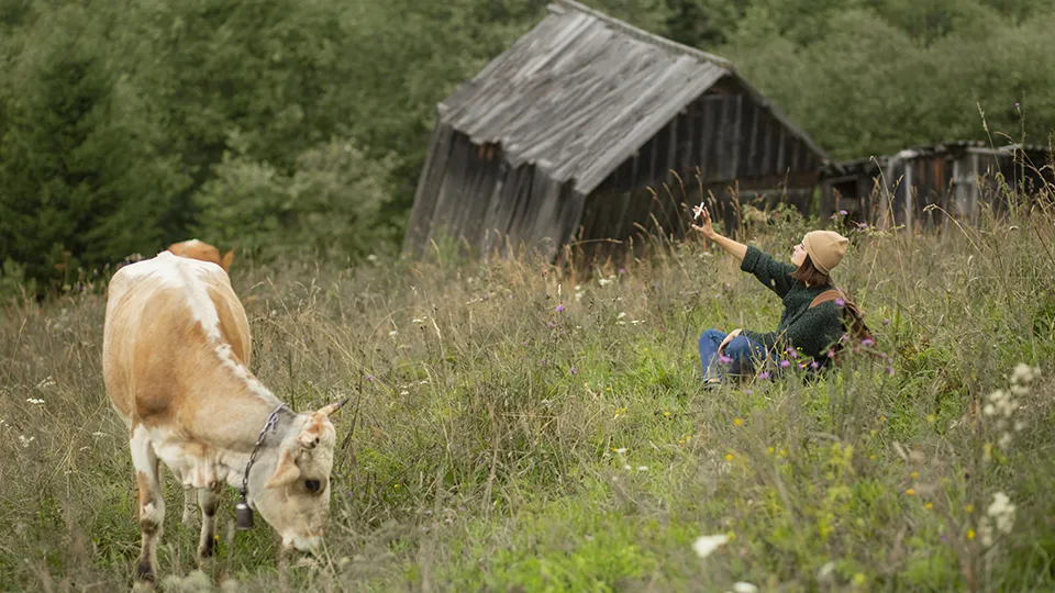 Фото: freepik.com