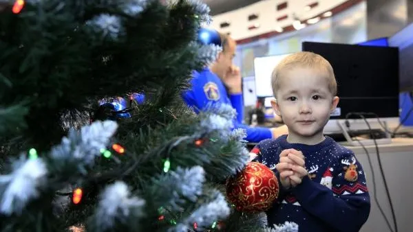Определено единственное преимущество живой новогодней елки