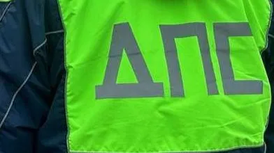 Фото: Госавтоинспекция Московской области