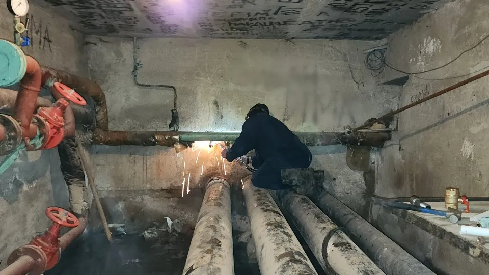 Фото: МедиаБанк Подмосковья/Андрей Алекин