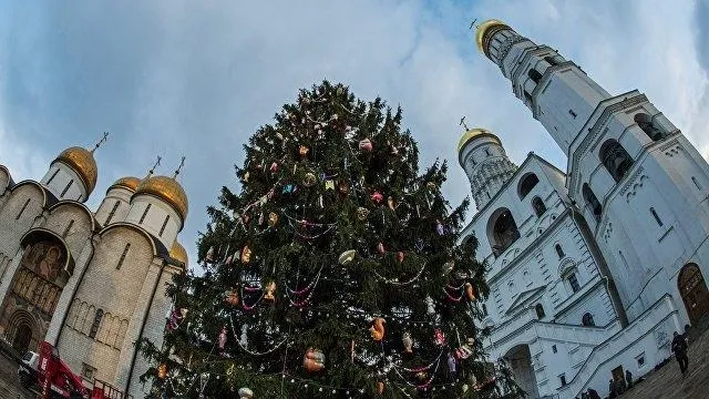 В Подмосковье выбрали главную новогоднюю елку страны