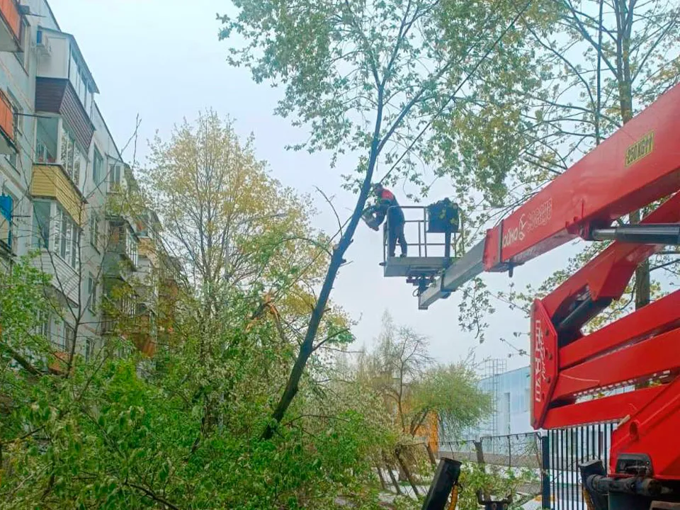 Фото: администрация г. о. Солнечногорск&nbsp;