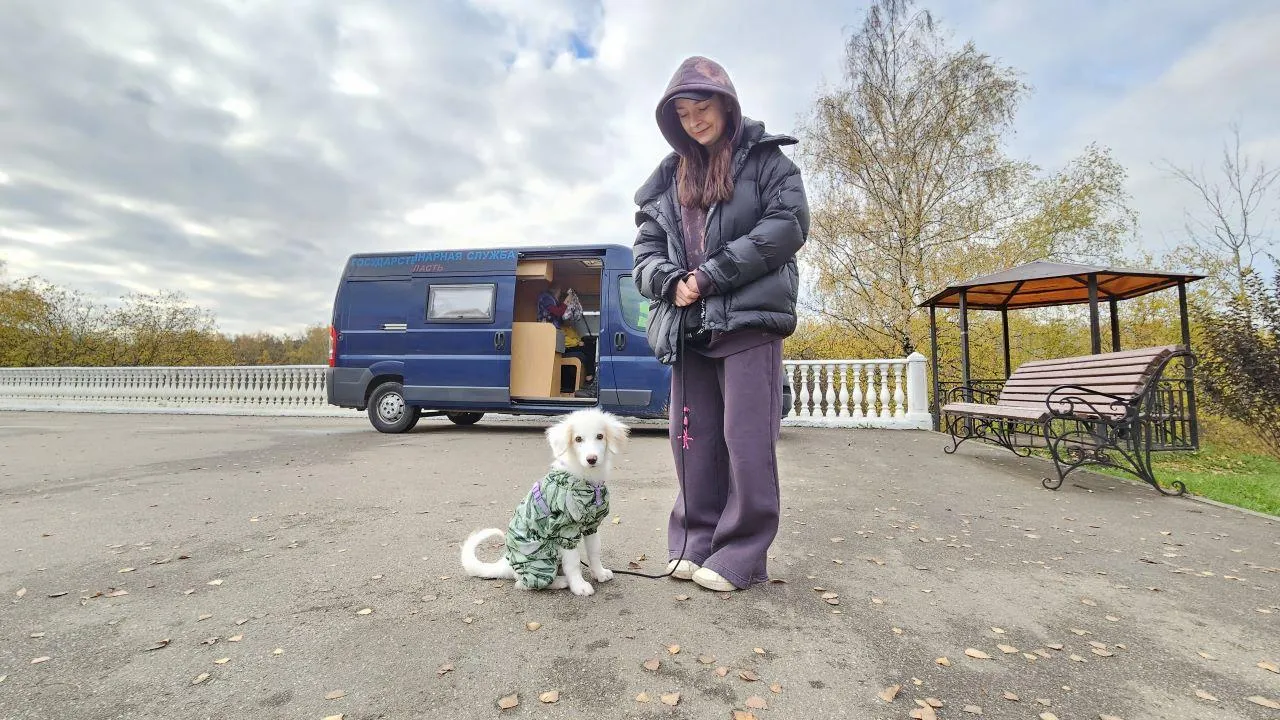 МедиаБанк Подмосковья/Вероника Горбачева