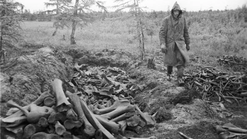 Ученые: в ближайшие 10 лет люди окажутся на грани вымирания