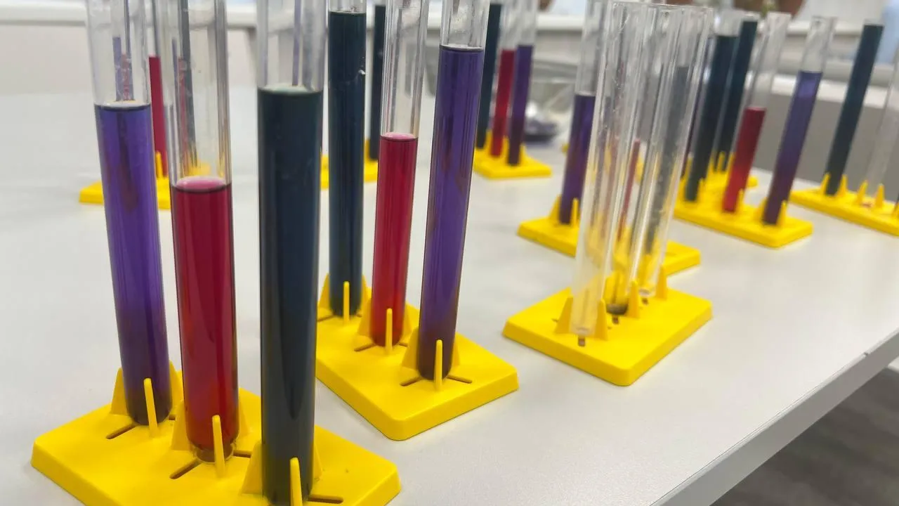 Фото: Минобразования Московской области