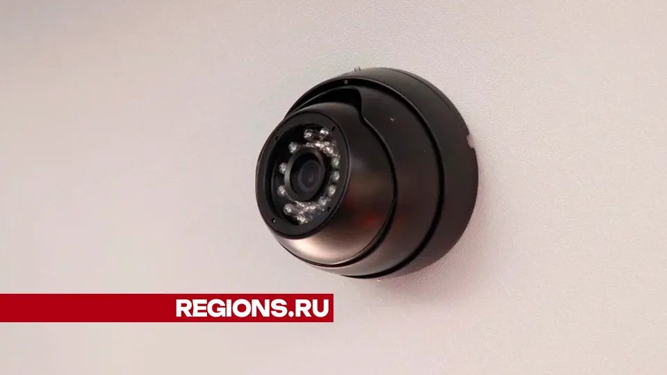 Фото: REGIONS/Василий Тремасов