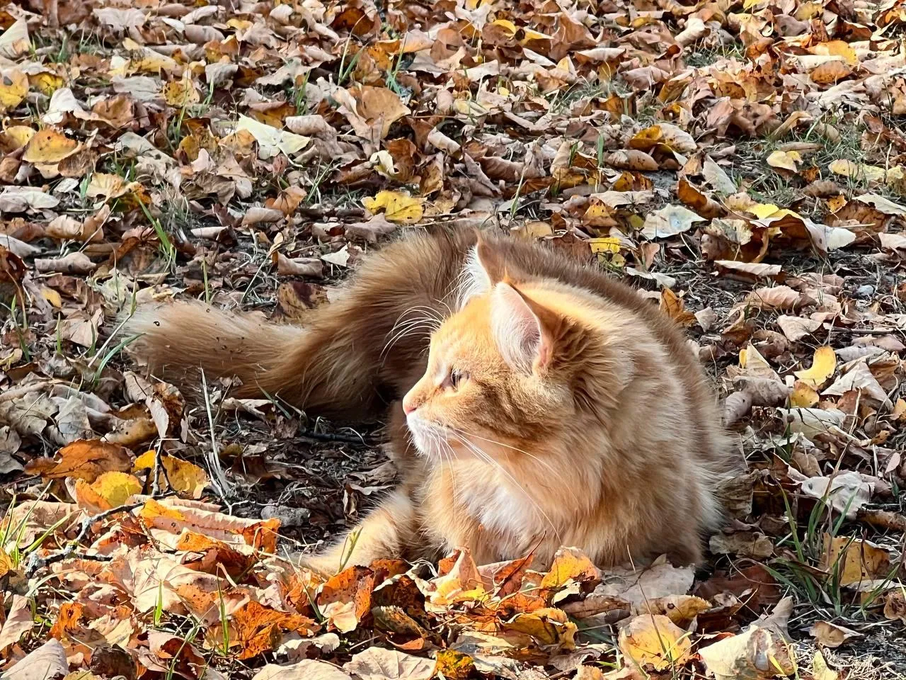 Фото: личный архив Елены Фурман