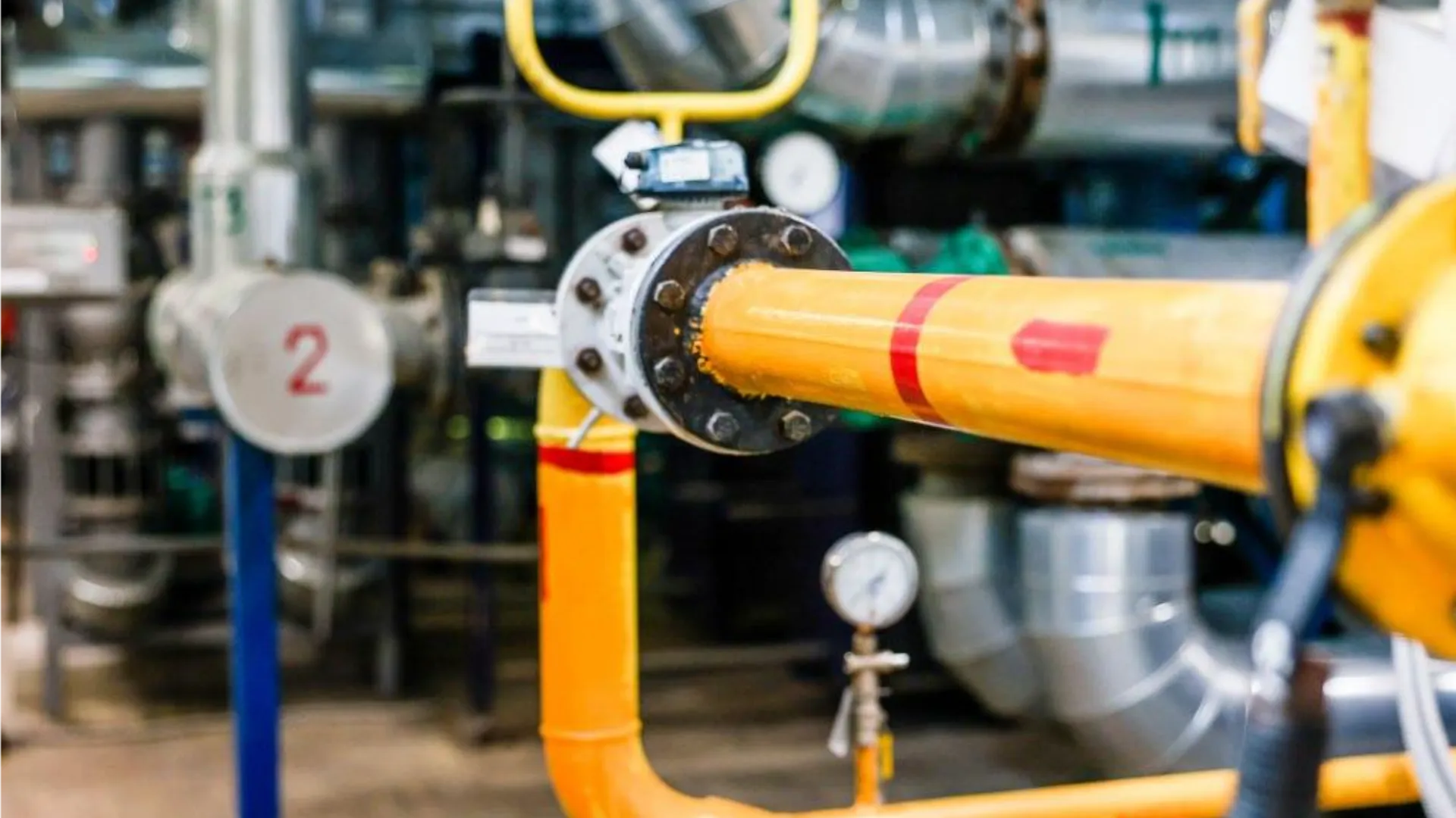 Фото: пресс-служба администрации г.о. Красногорск