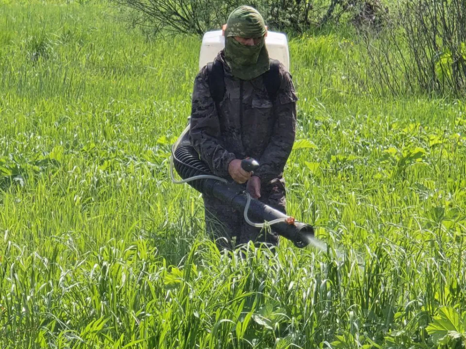 Фото: МедиаБанк Подмосковья/Яна Шаливская