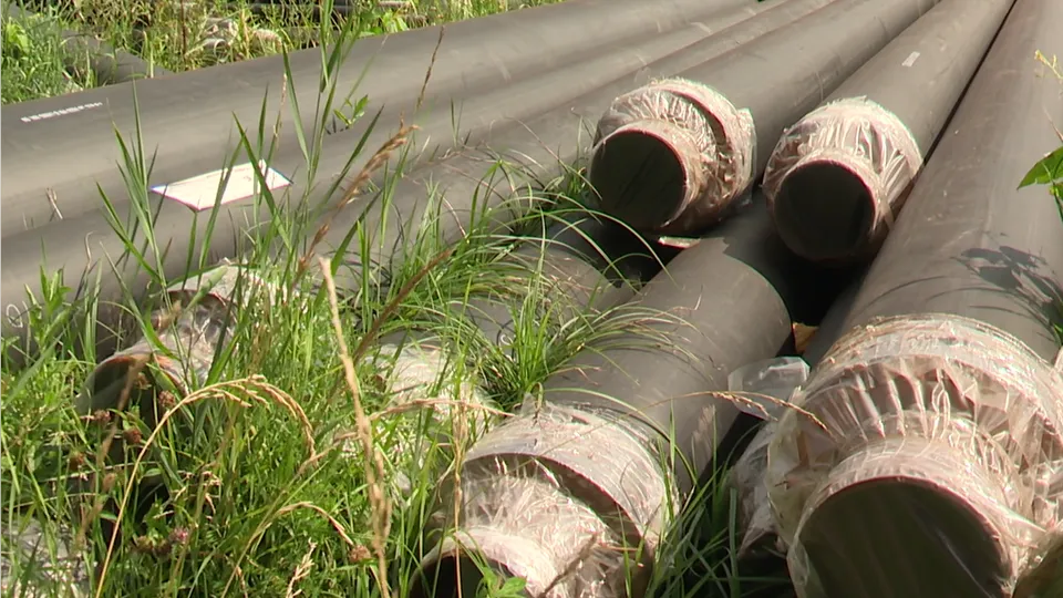 Фото: Ксения Казакова