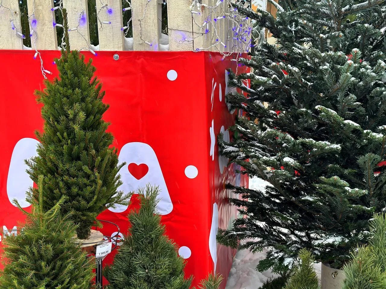 Фото: Пресс-служба Минсельхозпрод МО