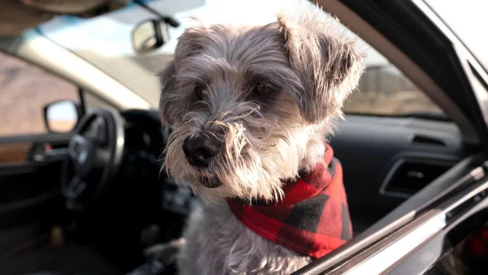 Фото: freepik.com