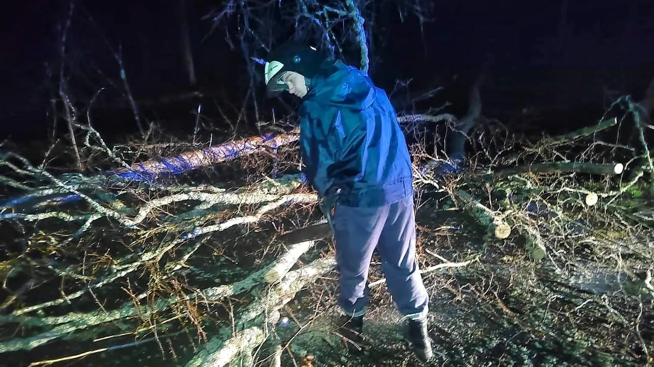 Фото: ГКУ МО «Мособлпожспас»