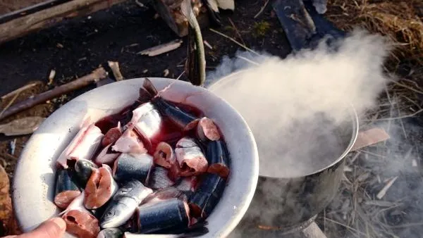 Ветеринар Чеченова назвала оптимальный срок варки мяса и рыбы для уничтожения паразитов