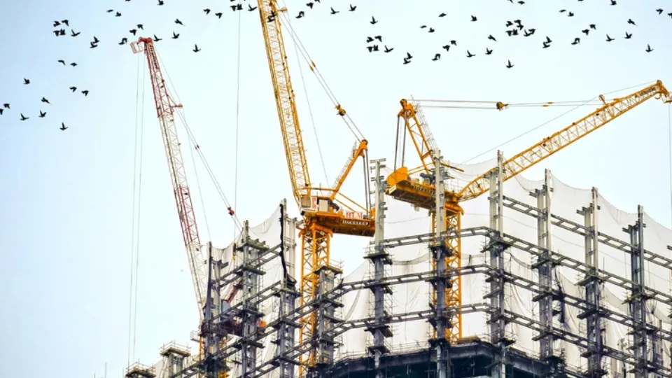 Фото: pxhere.com