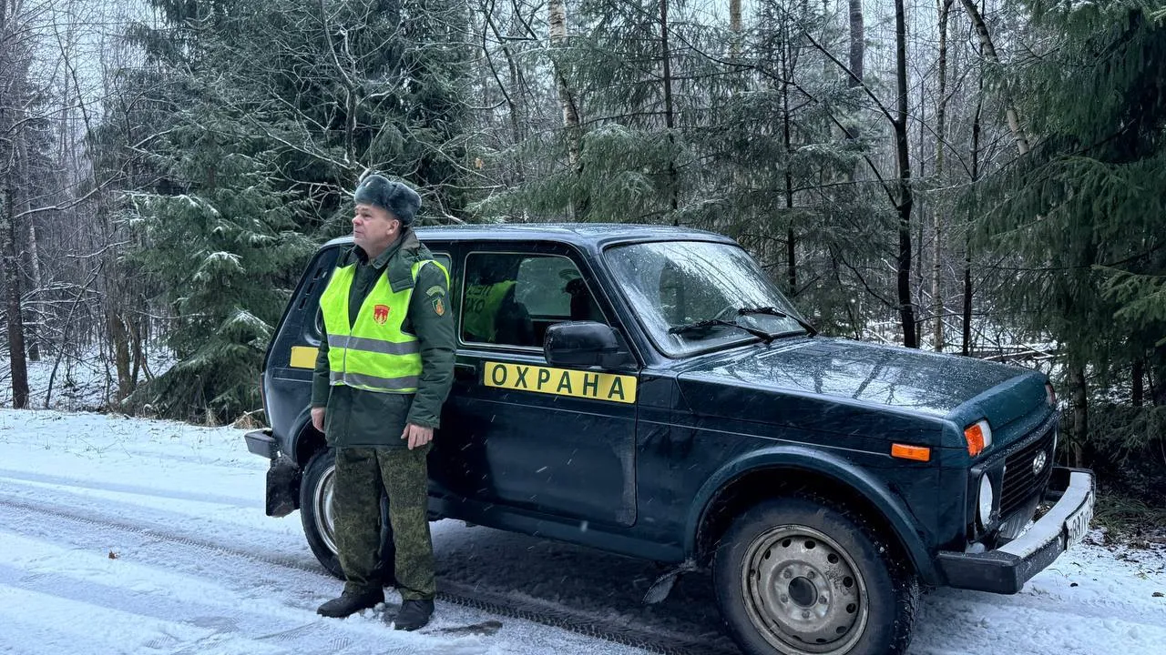 Фото: t.me/mosoblcomles