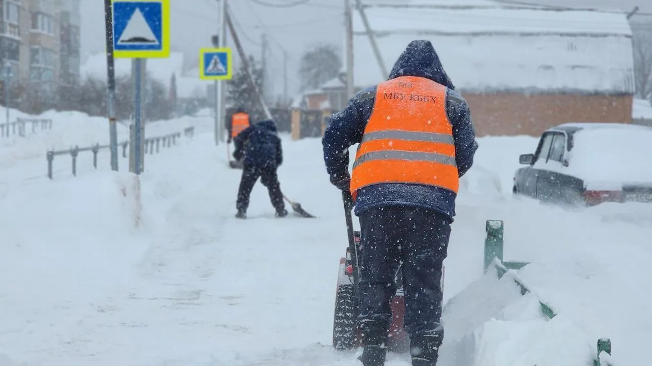 МедиаБанк Подмосковья/Анна Шолохова
