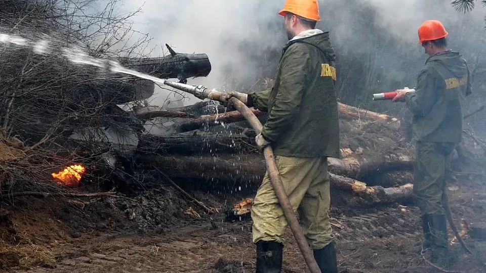 Фото: Медиасток.рф