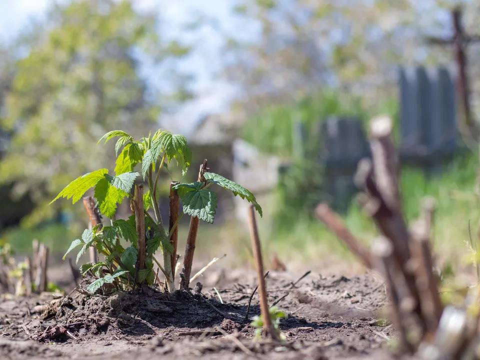 Фото: istockphoto.com