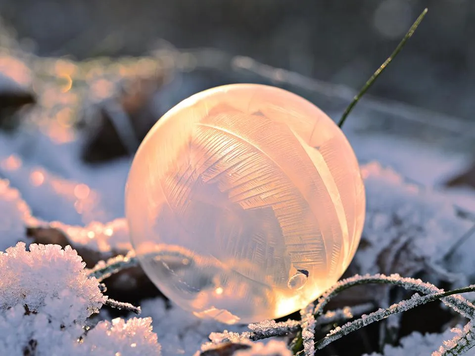 Фото: istockphoto.com/Wirestock