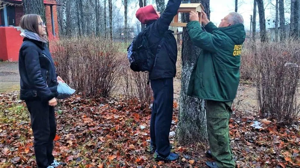 Комитет лесного хозяйства МО