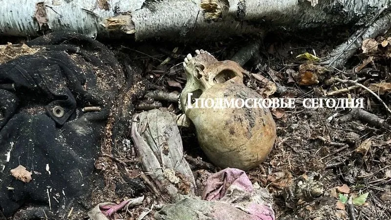 Александр П.