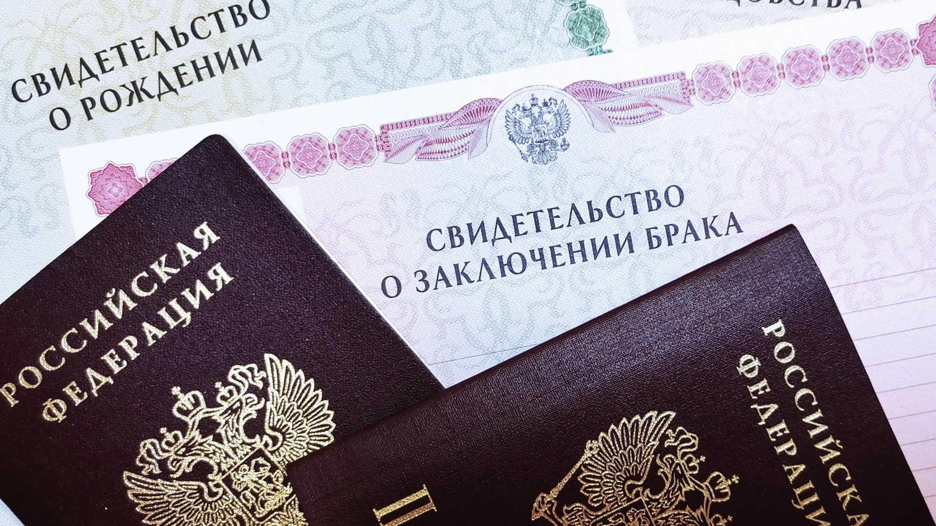 Фото: ГУ ЗАГС Московской области