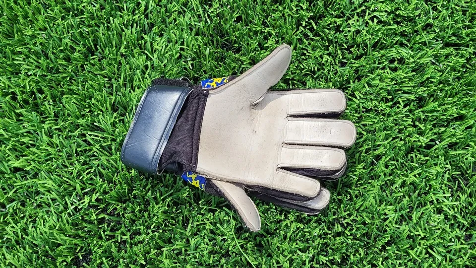 Фото: REGIONS/Александр Дрожжин