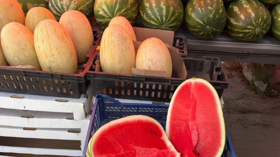 Фото: МедиаБанк Подмосковья/Ангелина Стельмух