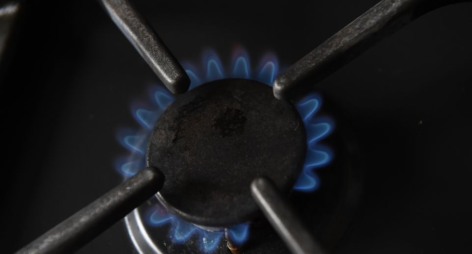 Жителям Подмосковья начали заранее сообщать о техобслуживании газа через госуслуги