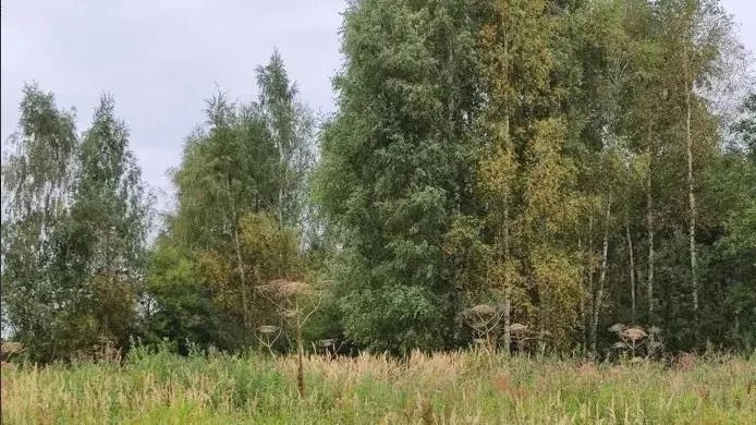 Земля в аренду в Волоколамском городском округе