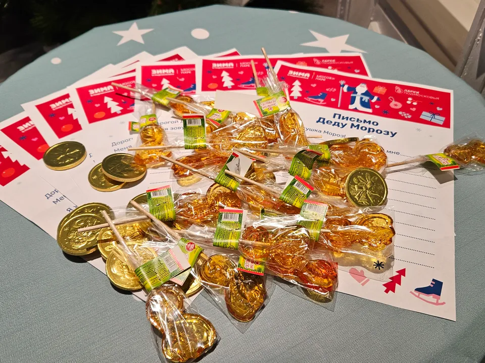 Фото: Ольга Вельшикаева