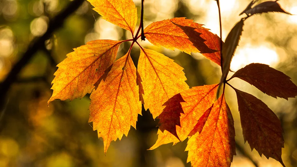 Фото: Антон Кондратюк