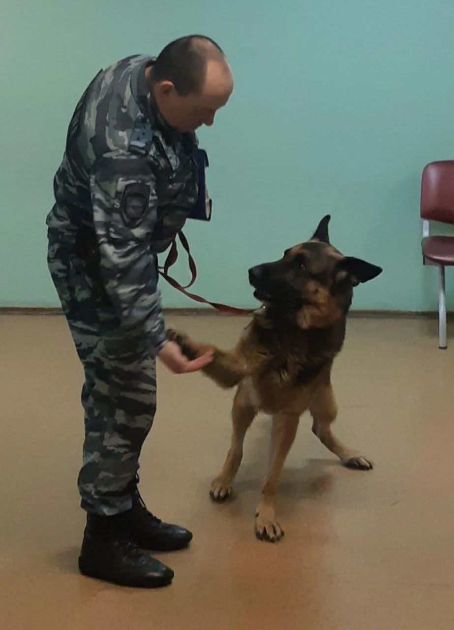 Фото: соцсети