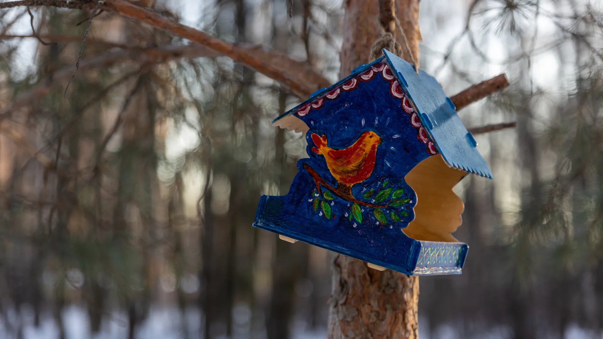 медиасток.рф