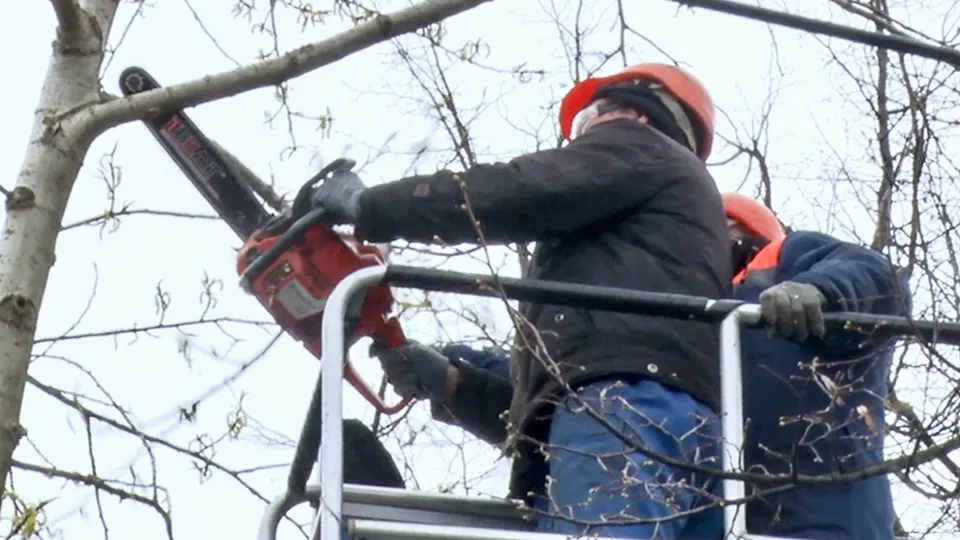 Фото: МедиаБанк Подмосковья/Данила Кирьянов