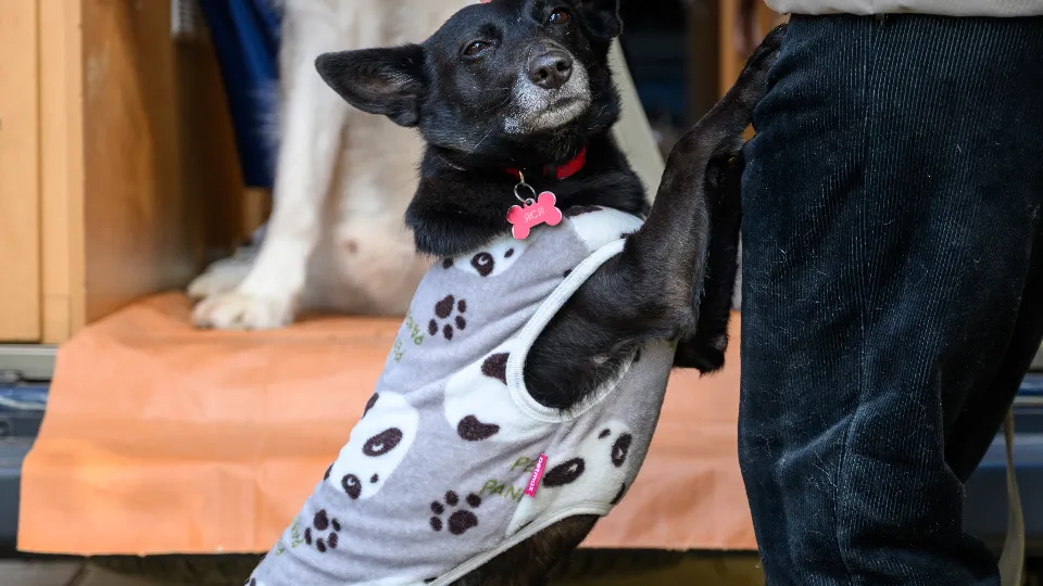 Фото: медиасток.рф