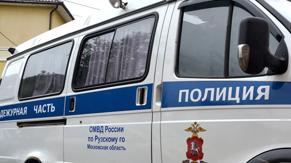 Фото: пресс-служба ОМВД России по Рузскому городскому округу