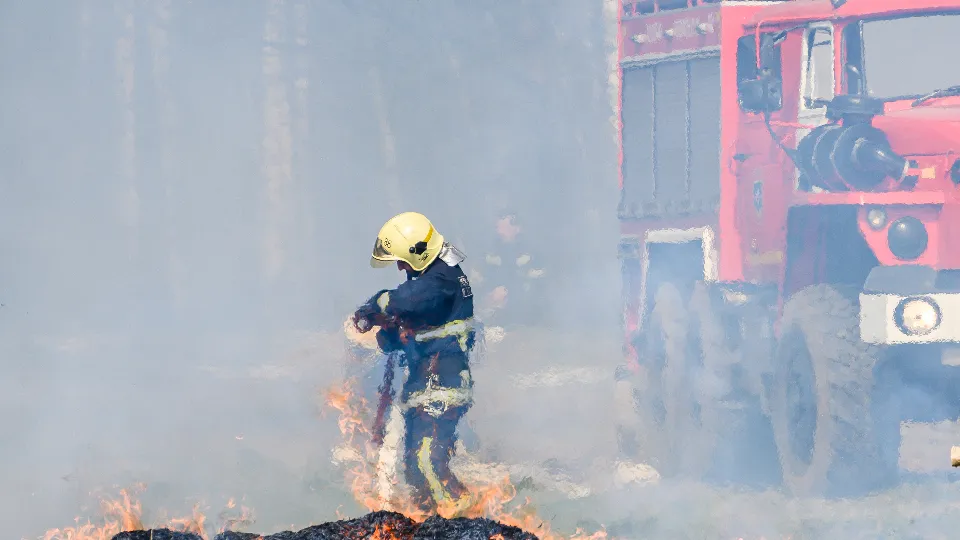 Фото: медиасток.рф
