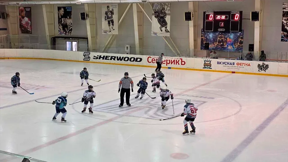 Фото: МБУ ДО Спортивная школа по хоккею «Зарайск»