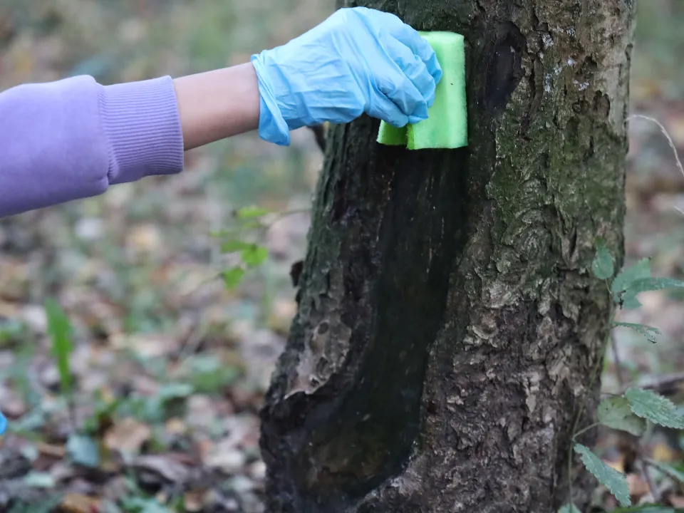 Фото: REGIONS/Ольга Пятикрестовская