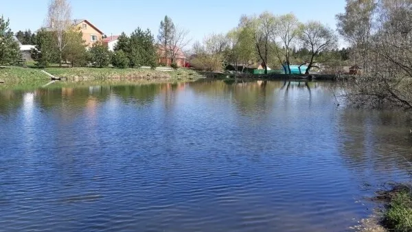 Пруд в селе Введенское/источник: gorodsreda.ru