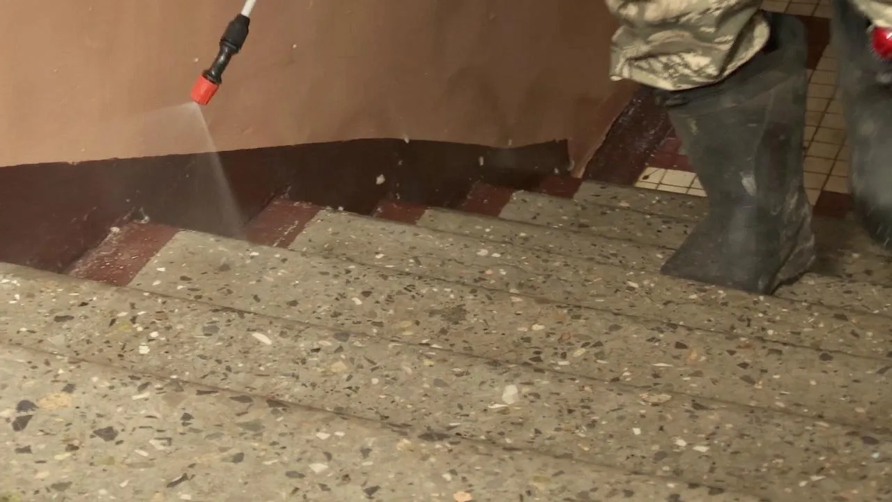 МедиаБанк Подмосковья/Данила Кирьянов