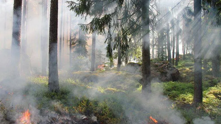 Фото: t.me/yasno_reutov