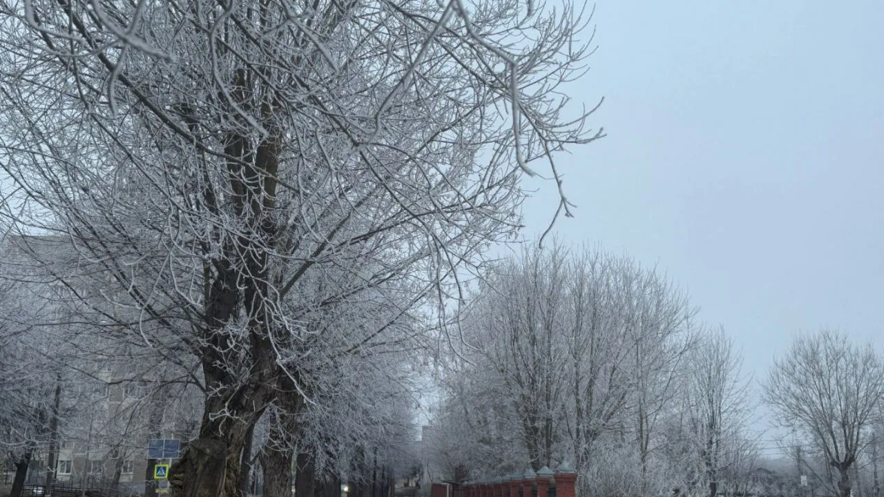 Фото: t.me/ParkVerbilki