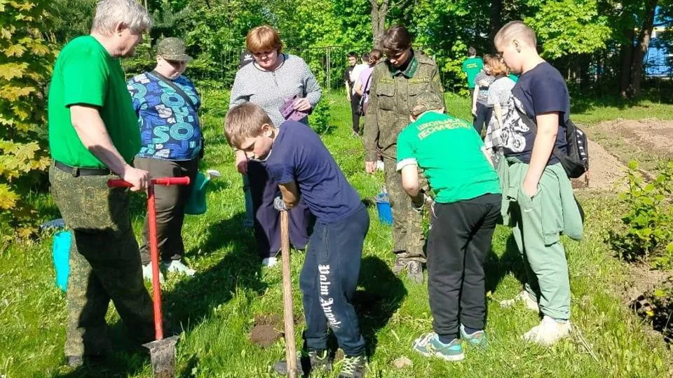 Фото: Комитет лесного хозяйства Московской области