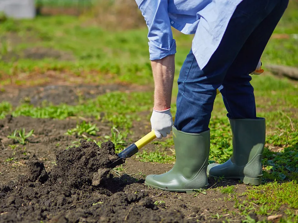 Фото: istockphoto.com/shironosov