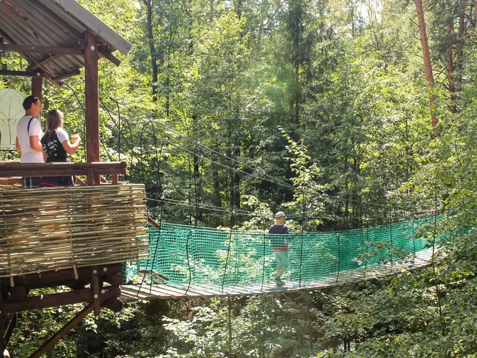 Фото: Приокско-Террасный заповедник