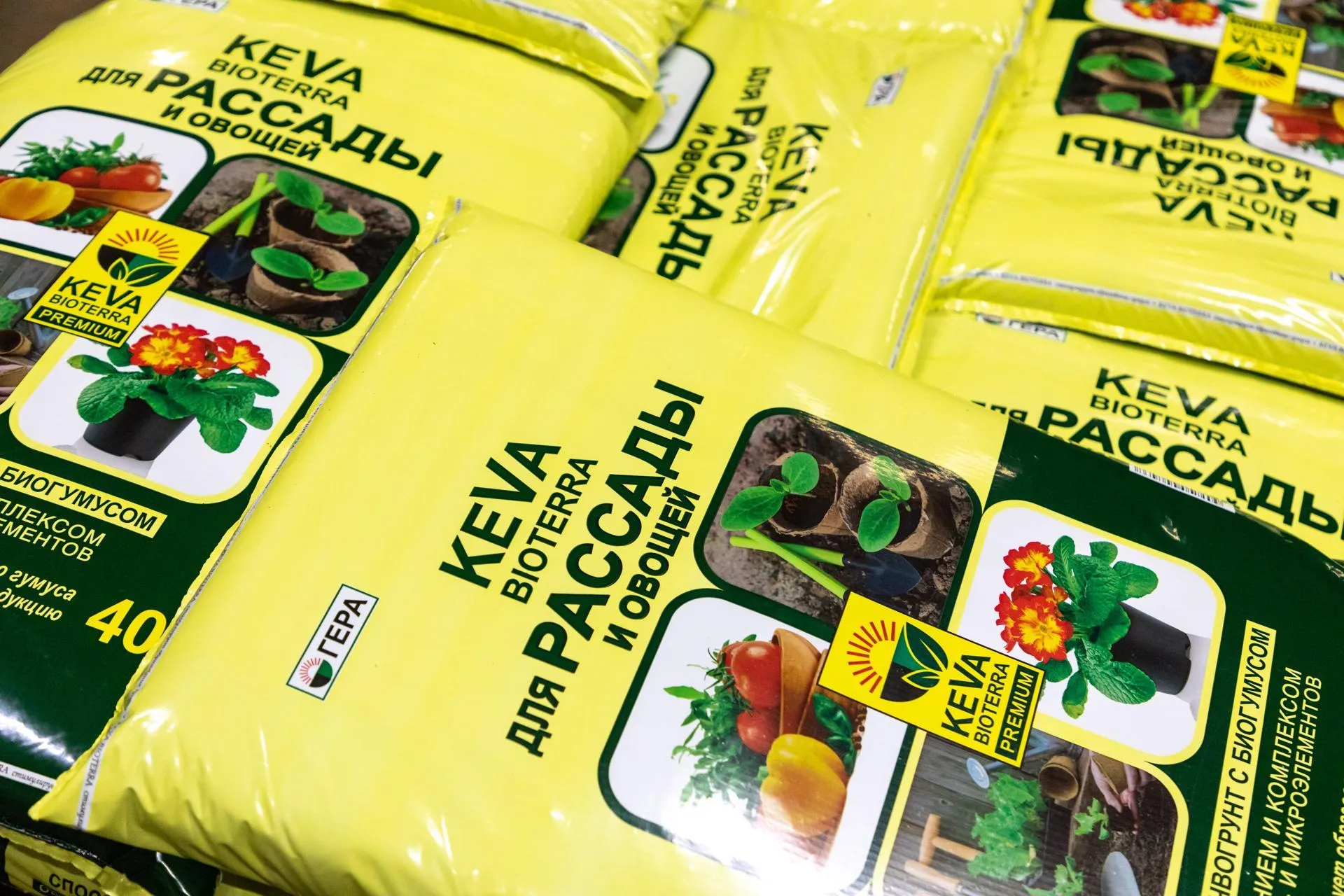 Фото: Анастасия Харченко